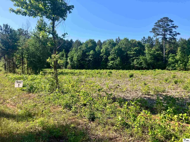 Lot 9014 2nd St #80, Simsboro, LA 71275