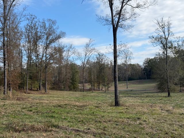 955 Fonsylvania Rd, Vicksburg, MS 39180