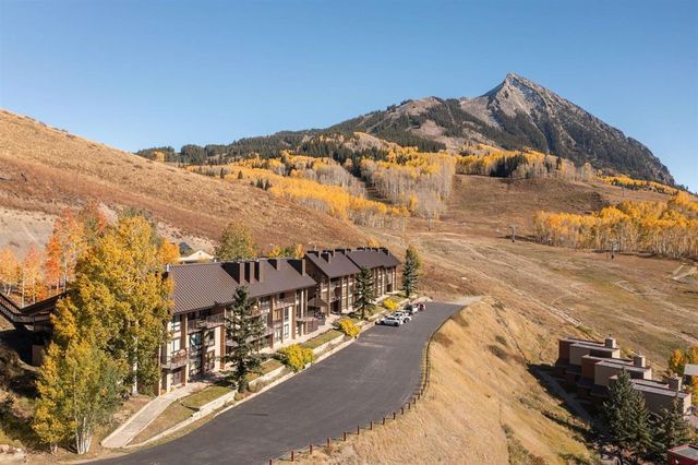 51 Whetstone Rd   #1103, Crested Butte, CO 81225
