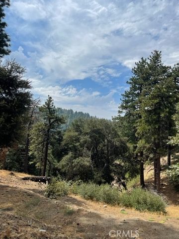 Cochran Rd   #71, Twin Peaks, CA 92391