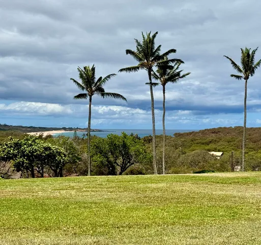 50 Kepuhi Pl #122, Maunaloa, HI 96770