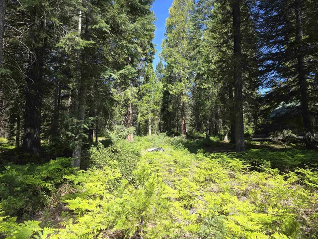 Lot 86 Panther Meadow Dr, McCloud, CA 96057