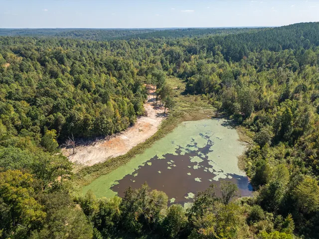 County Road 210, Pittsboro, MS 38951