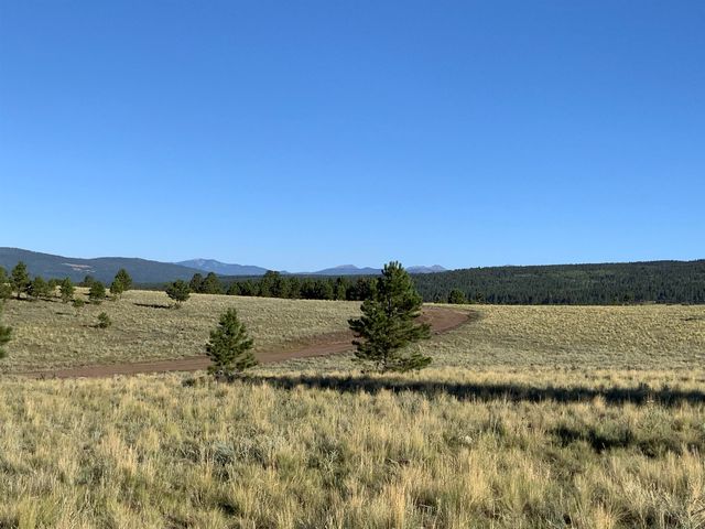 3 Off Of Hwy  #120, Angel Fire, NM 87710