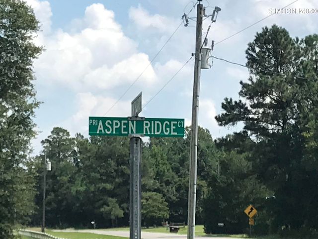 8 Aspen Ridge Court, Deep Run, NC 28525