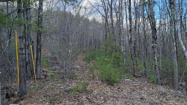 Lot 44-1 South Waterboro Road, Alfred, ME 04002