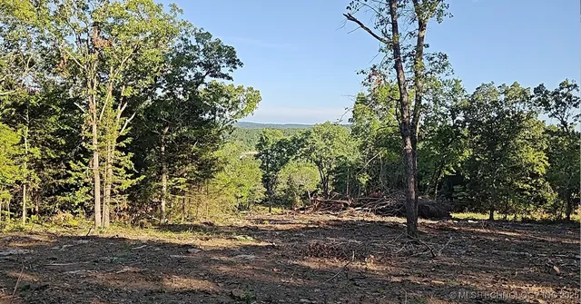 21595 W  888th Rd, Cookson, OK 74427