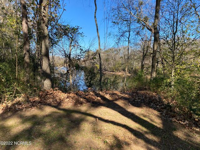 00 Hwy 258 LOT 2 and 2A, Scotland Neck, NC 27874