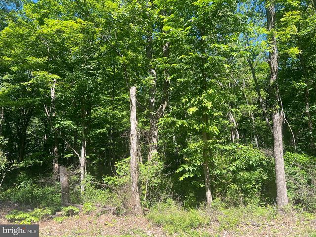 Cold Run Valley Rd, Berkeley Springs, WV 25411