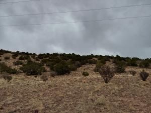 8 Camino De Las Brisas, Placitas, NM 87043