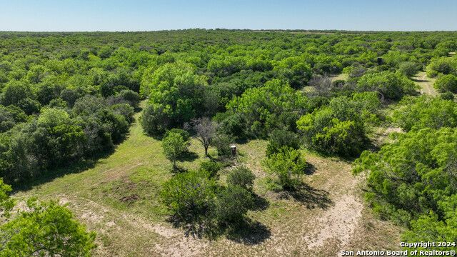 48.25 ACRES County Road 114, George West, TX 78022