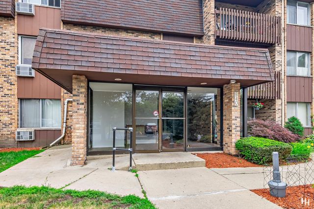 940 E  Old Willow Rd #206, Prospect Heights, IL 60070