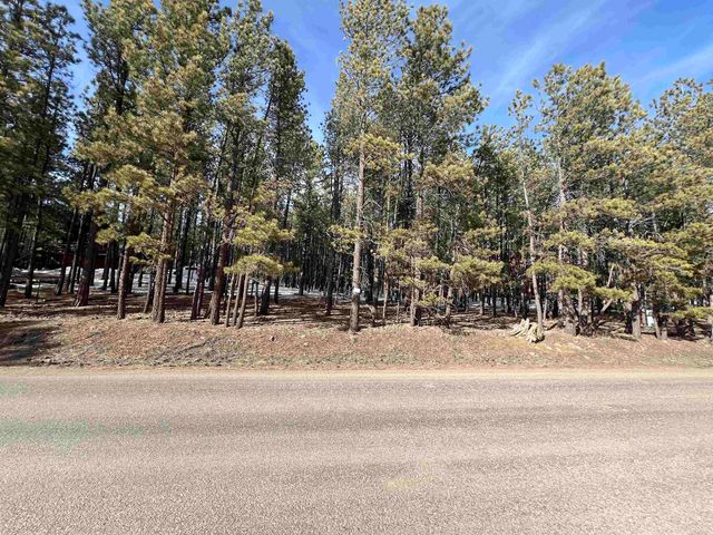 563 Lakeview Park Dr, Angel Fire, NM 87710
