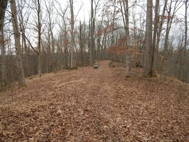 Oil Springs Rd, Petroleum, WV 26161