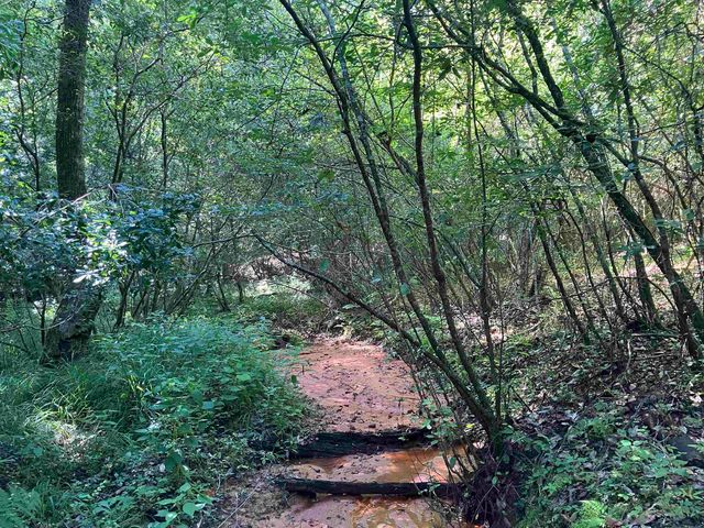 Bell Crossing Rd, Opp, AL 36467