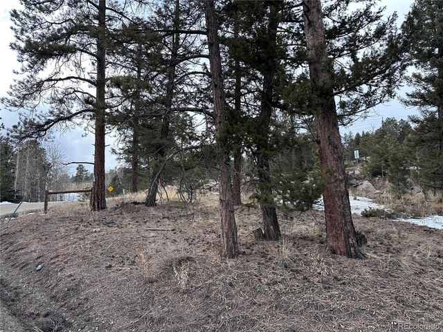 27793 Fawn Drive, Conifer, CO 80433