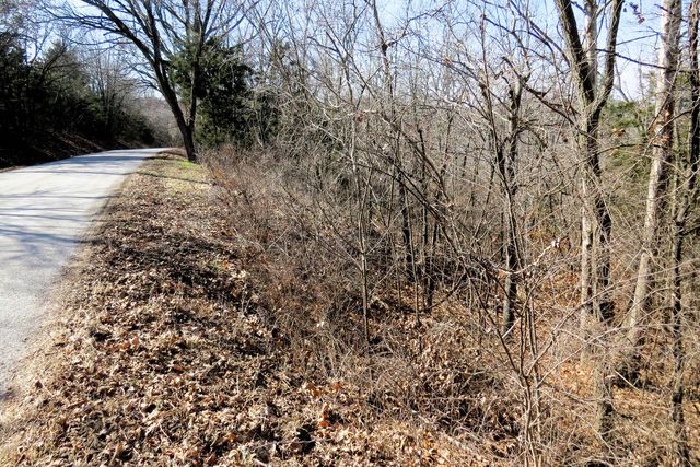 Lot 273a Hill Haven Road, Hollister, MO 65672
