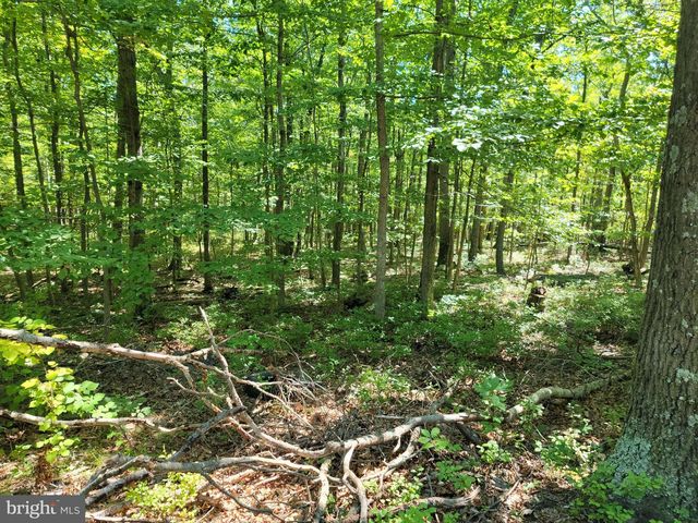 Lot 3 Panther Dr, Winchester, VA 22602