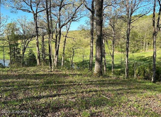 Lot 9 Birdie Hill Rd, Holts Summit, MO 65043