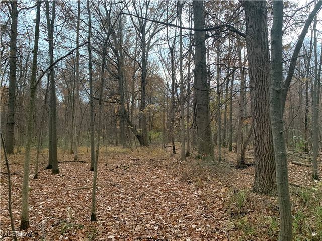 Sterling Rd, Sheffield Lake, OH 44054