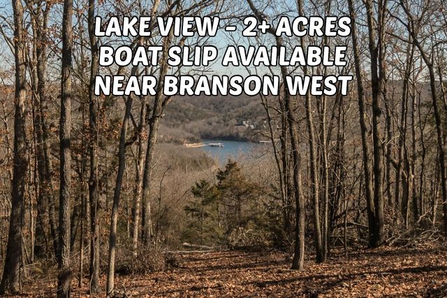 Lots19&20 Acoma Drive, Reeds Spring, MO 65737