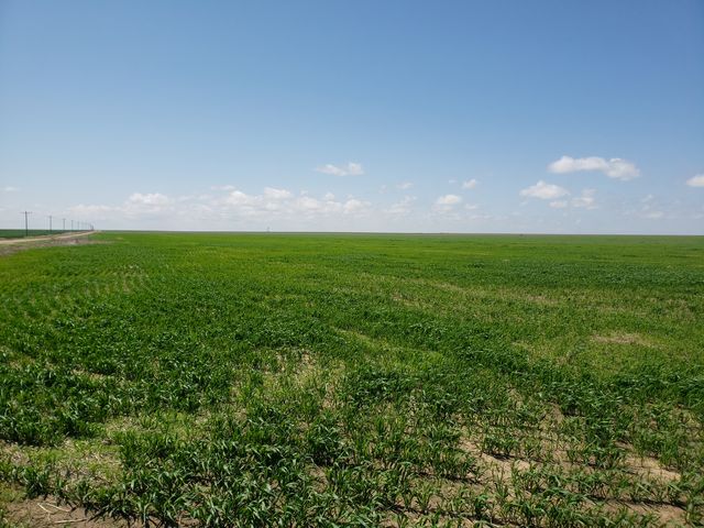 County Rd, Akron, CO 80720