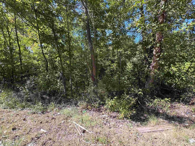 Highway 51 S, Munford, TN 38058