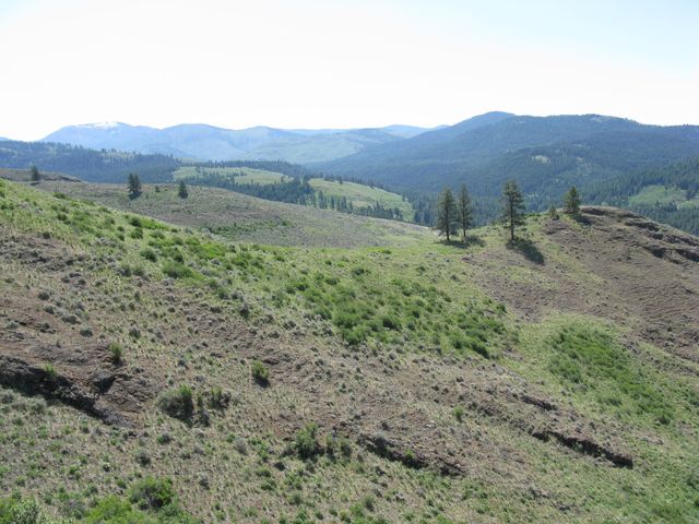 Property In Republic Wa