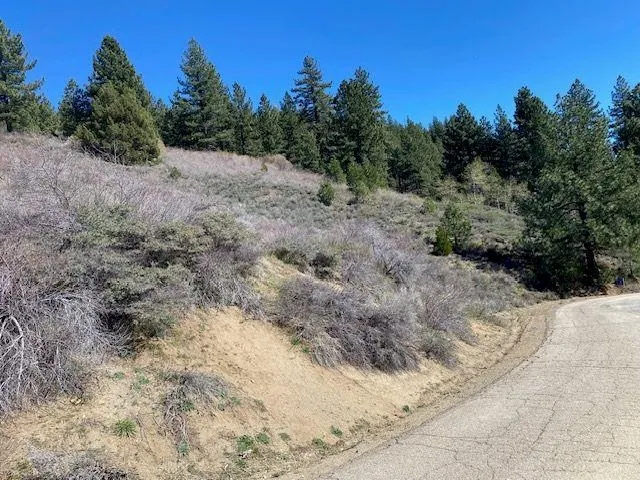 1692 Valley View Dr, Portola, CA 96122