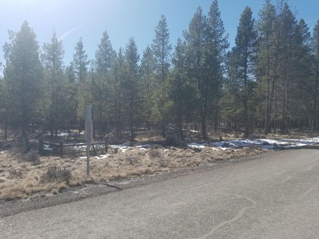 Split Rail Rd #TL-8900, La Pine, OR 97739