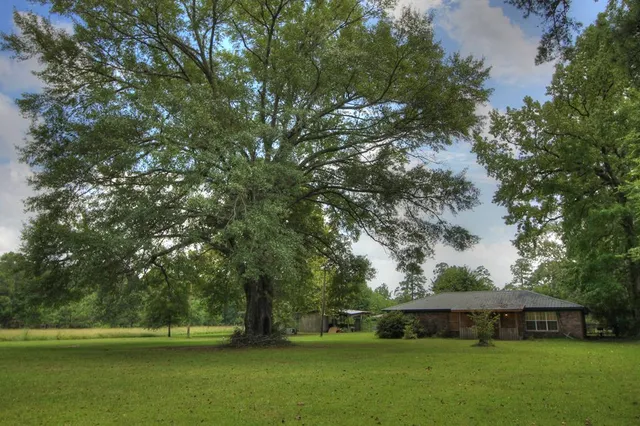 1533 County Road 348, Broaddus, TX 75929