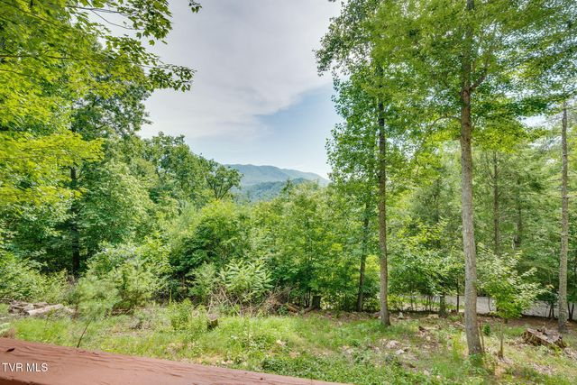 Tank Rd, Butler, TN 37640