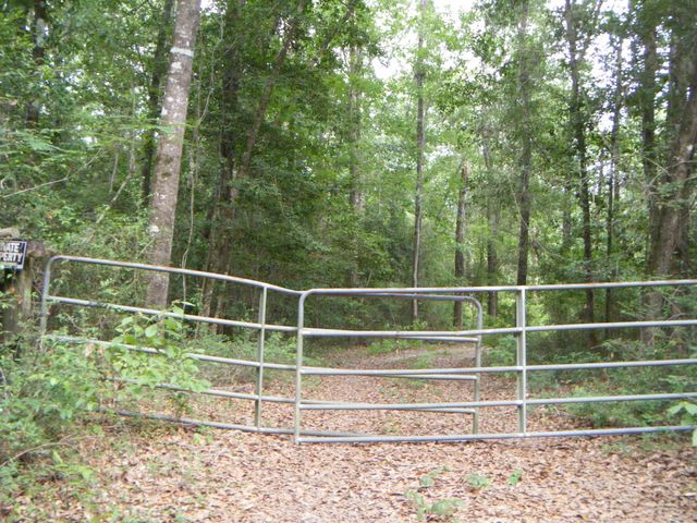 County road 529, Kirbyville, TX 75956