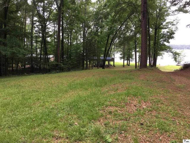Pampas Grass Rd, Farmerville, LA 71241