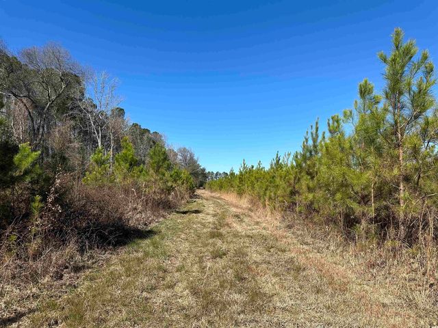 Tract A Holliman Rd., Greeleyville, SC 29056