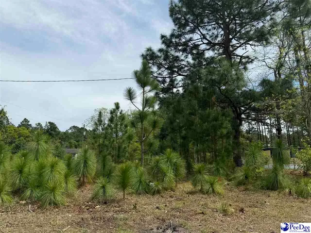 Twilight Dr, Dillon, SC 29536
