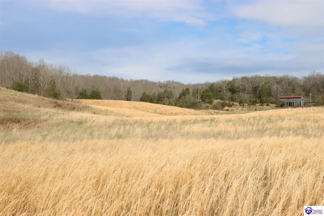 6595 Hammonsville Rd, Bonnieville, KY 42713