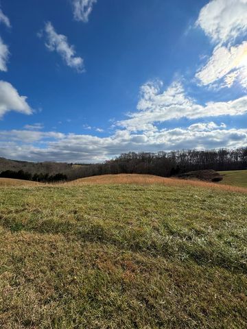 Lot 5 Holly Bend Dr, Byrdstown, TN 38549