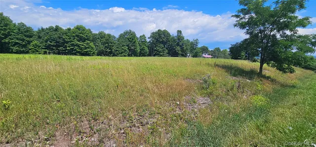 w/s Divine Corners Road, Loch Sheldrake, NY 12759
