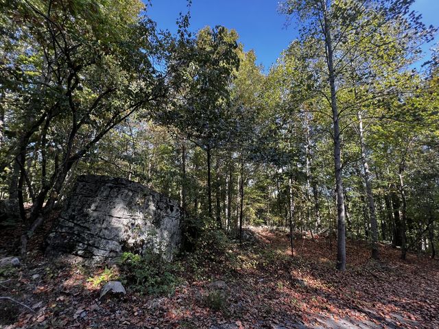 Scenic Dr   #6, South Pittsburg, TN 37380