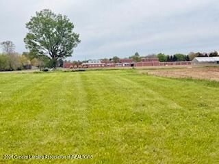 2817 Black Oak St, Webberville, MI 48892