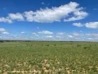 County Road 251, Dickens, TX 79229