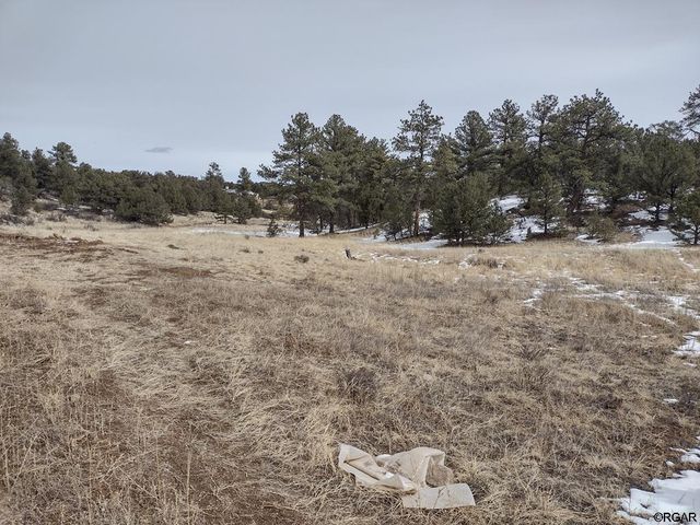 Address Not Disclosed, Cotopaxi, CO 81223
