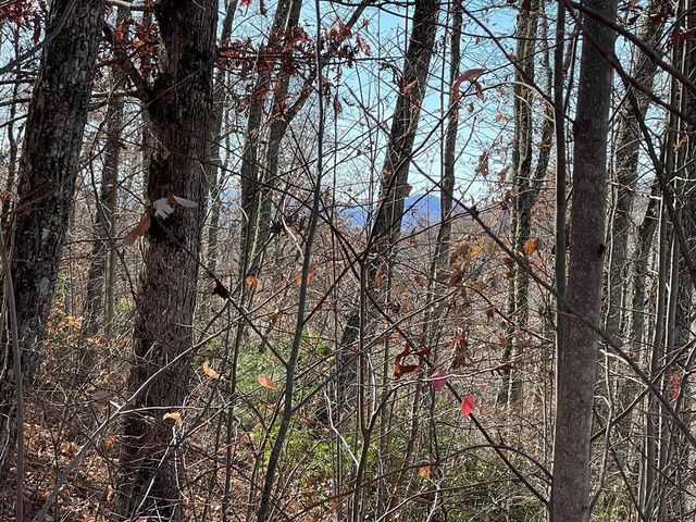 Lots Ash Branch View, Hayesville, NC 28904