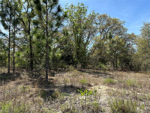 SW Paradise Heights Rd #10, Dunnellon, FL 34431