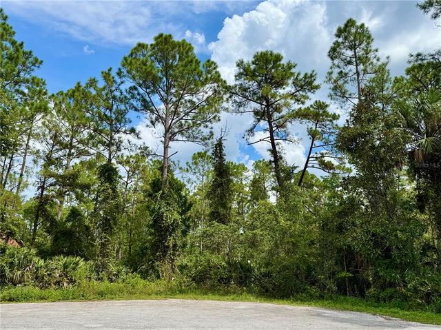 Lot 3 Tamarac St #3, Eustis, FL 32736