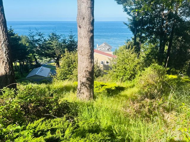 110 Albatross Rd, Whitethorn, CA 95589