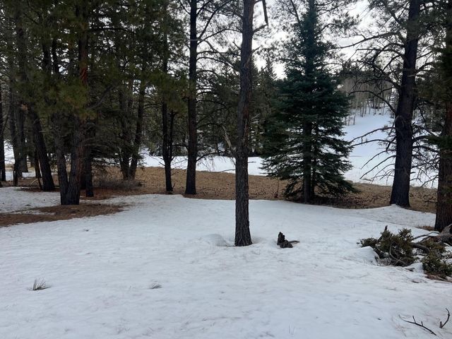 Lot 1183 Tanager Ter, Angel Fire, NM 87710