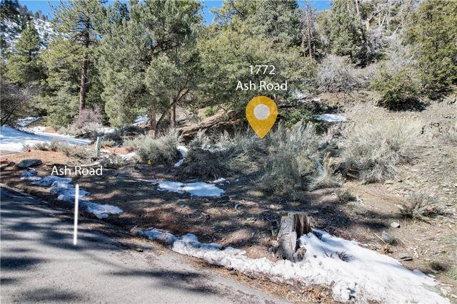 1772 Ash Rd, Wrightwood, CA 92397