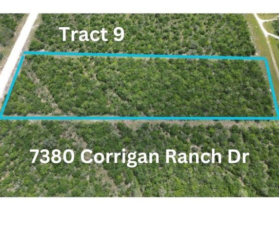 7380 Corrigan Ranch Dr   #9, Skidmore, TX 78389